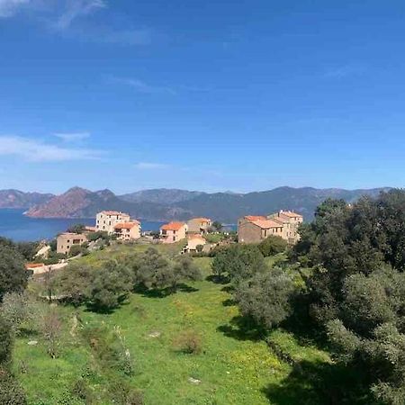 Appartement De Standing Piana Piana  Exteriör bild