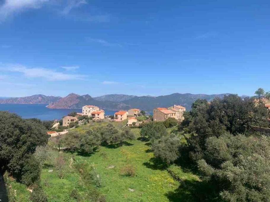 Appartement De Standing Piana Piana  Exteriör bild
